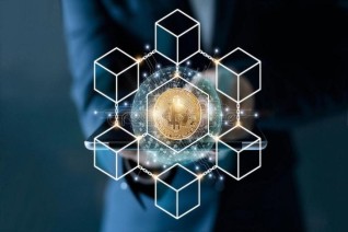 Risk Management in Digital Asset Investments